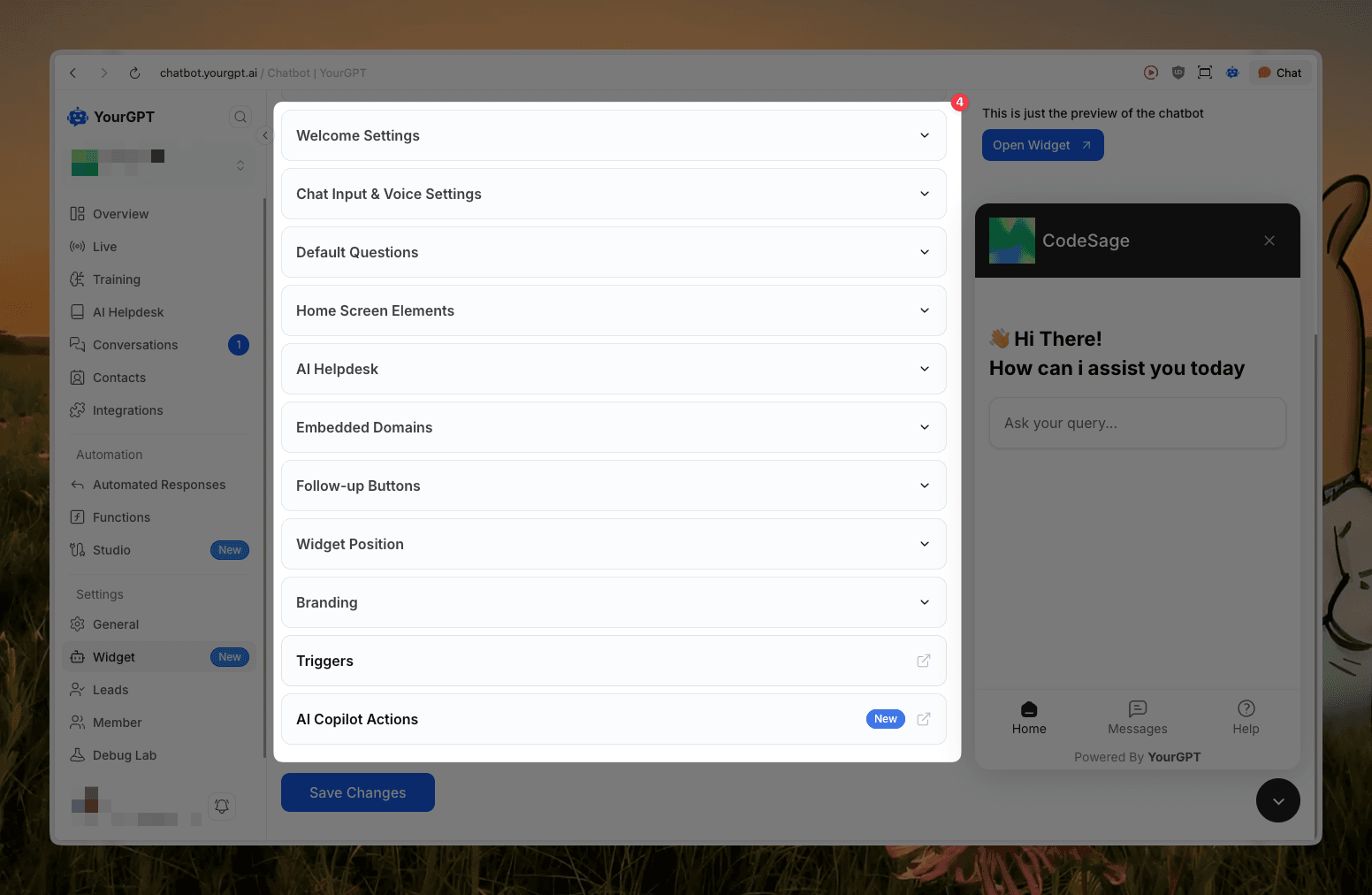 All Customization Options